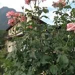 Boscotenso