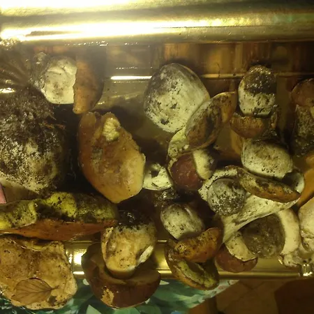 Boscotenso Bed & Breakfast