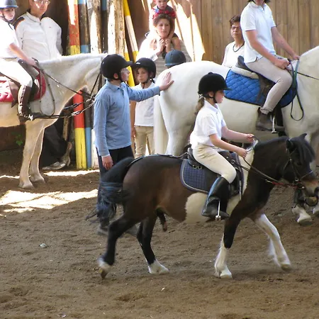 Bed & Breakfast Boscotenso Premosello Chiovenda