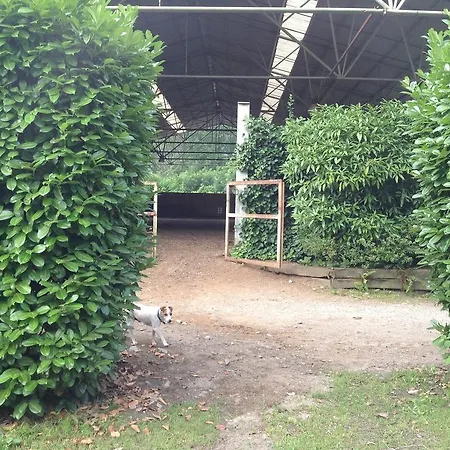 Couette-café Boscotenso Premosello Chiovenda