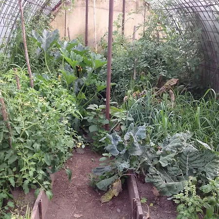 Bed & Breakfast Boscotenso Premosello Chiovenda