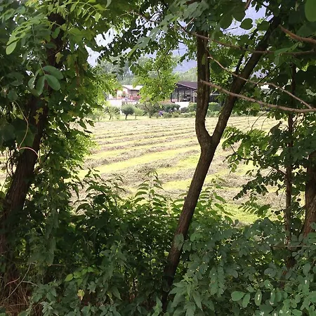 Boscotenso Premosello Chiovenda