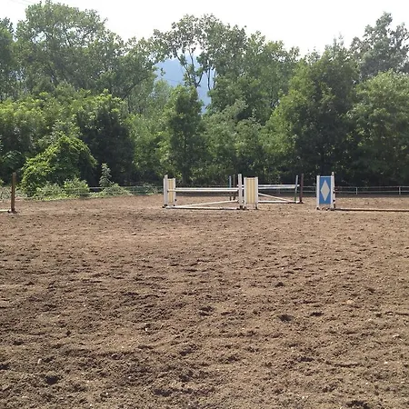 Bed & Breakfast Boscotenso