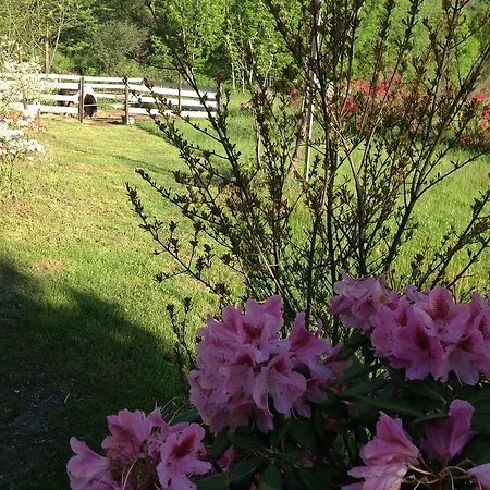 Couette-café Boscotenso 3*