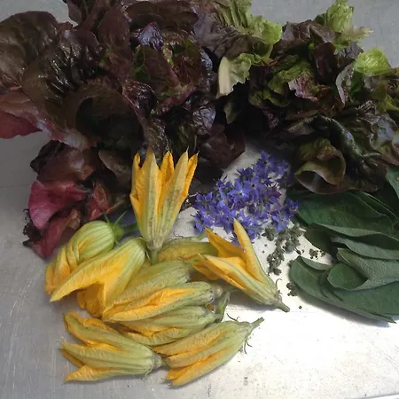 Bed & Breakfast Boscotenso Premosello Chiovenda