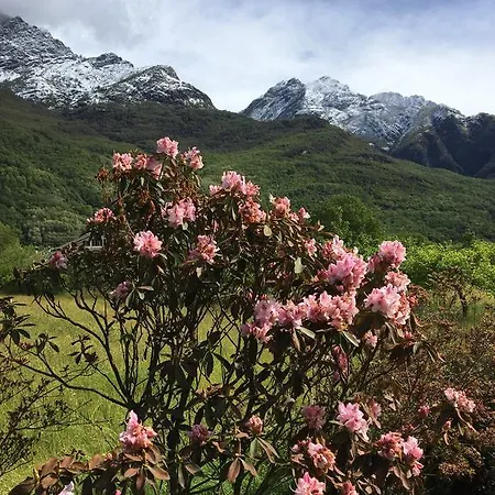 Couette-café Boscotenso Premosello Chiovenda