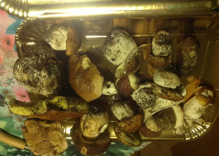 Boscotenso Nocleg ze śniadaniem