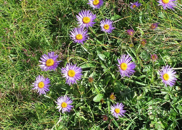 Nocleg ze śniadaniem Boscotenso