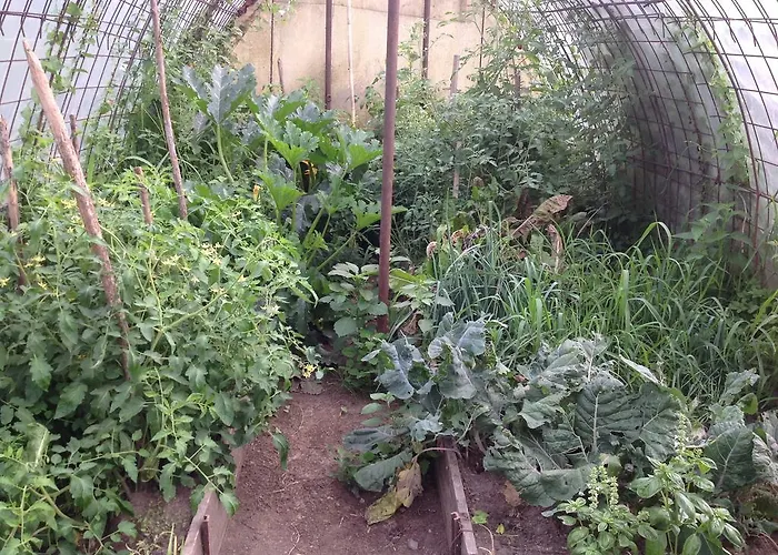 Nocleg ze śniadaniem Boscotenso Premosello Chiovenda