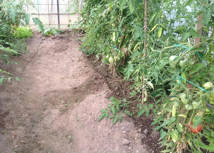 Nocleg ze śniadaniem Boscotenso 3*