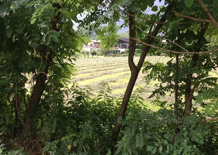 Boscotenso Premosello Chiovenda