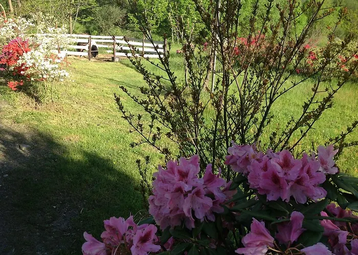 Nocleg ze śniadaniem Boscotenso 3*