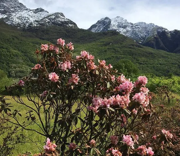 Nocleg ze śniadaniem Boscotenso Premosello Chiovenda